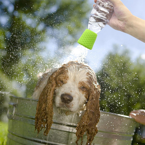 Pack outdoor dog - dog, shower
