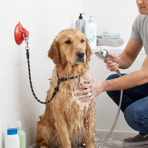 Dog bathing tether suctioncup - bathing,